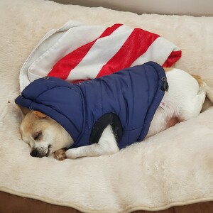 Fundraising Page: Meghan O'Meara